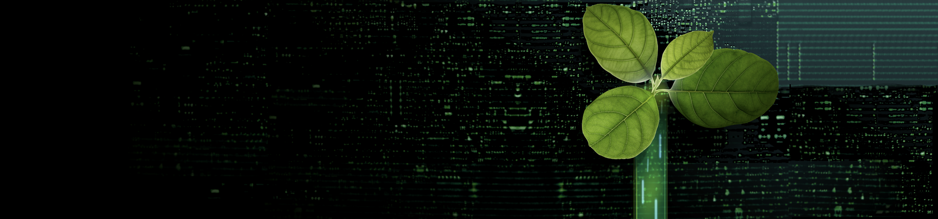 sustainability_1920x450